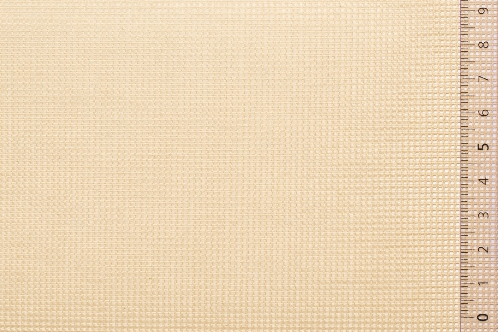 01CAN60ECRxxxCOT[CANVAS 60 (No9)](ECRU)F